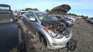 Indiana Junk Salvage yard - most Volvos