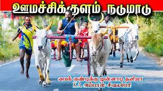 ஊமச்சிக்குளம் நடுமாடு  01/02/2026 Umachikkulam nadu maadu#krish_studio_kattumavadi