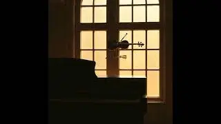 Title 5
