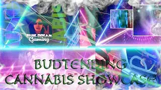 Canna Chat | Higher Review