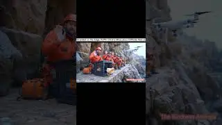 Stranded on the Edge: Puffin Chick's Miraculous Cliffside Rescue  #animal #animalrescue
