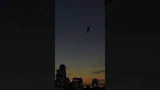 Large car-sized flying craft spotted over downtown Los Angeles, CA #losangeles #drone #uap #t4a