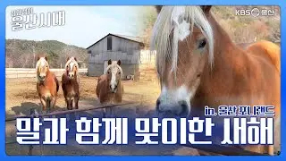 심현섭의 울산시대 (울산 한 바퀴) 말과 함께 맞이한 새해 in. 울산 포니랜드