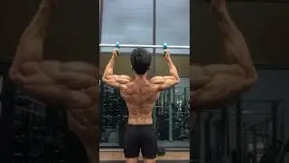 Swissies Pull-ups AI 🦾