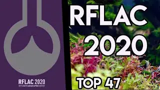 RFLAC 2020 Aquascaping Contest Results TOP 47-Reeflowers