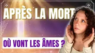 J'ai Vu des Défunts Toute Ma Vie : Voici Ce Que J'ai Appris Sur l'Au-Delà