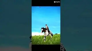 So geil#sso#short#pferd#reiten#sso#starstableonline