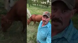 Программа тотального выпаса. Выборочный и невыборочный выпас