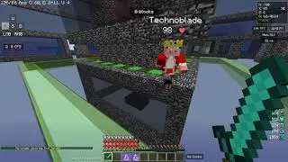 Beating Technoblade with #BringBackPigmanBoubble  - Mega Walls Pigman Class