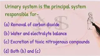 MCQ videos ||Kidney | biology | Excretory system | competition exam | BMLT ||DMLT