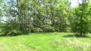 69 acres Randolph County, Missouri