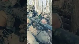 MK12 Mod 1 #nsw #seals #psa #precision #athlon #shorts