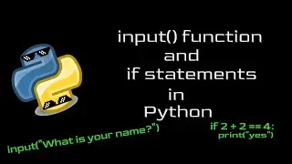 Input() function and if statements in Python