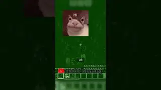 Minecraft but it's chaos every 30sec #minecraft #30secchallenge #chaos