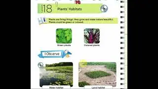 Plant's Habitats