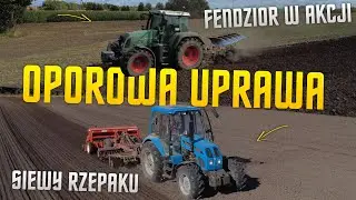 ✩ 🇵🇱 SIEW RZEPAKU 2025 ✩ Fendt w akcji ✩ Hubert Rol Tv ✩