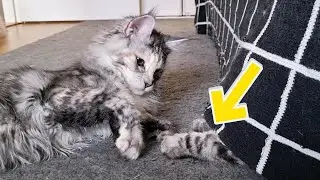 There's Something Dangerous Under the Bed!