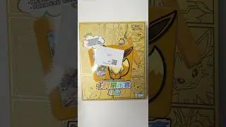 What&rsquo;s Inside This Chinese Eevee Display Box?