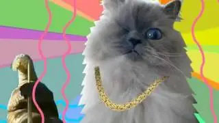 Petz