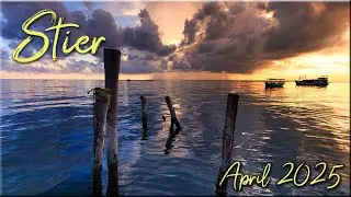 ♉ Stier - April 2025 - Tarot ♉  -  Ein neuer Versuch  -