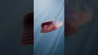 Самый популярный и ценный 3D-пакет для блендера