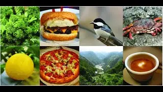 Image Generation using BigGAN || +91-8283824812 for query