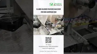 SL Machinery  |  SL-480D 5Rs Surprise Egg Making Machine with single ultrasonic welding system