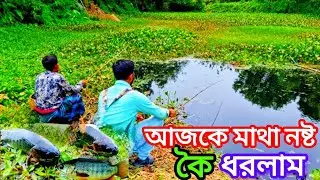 গ্রামের আড়িয়াল বিলে টাটকা কৈ মাছ শিকার | Village Fishing
