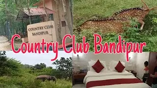 Country club Bandipur | Elephant, Deer sighting near resort |Exotic property #Luxury stay in jungle