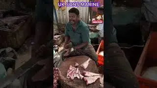 KASIMEDU SELVAM FISH CUTTING VIDEO | #kasimedu | #Shorts | UK SONS MARINE