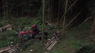 Borkenkäfer Thüringen, das Fass ohne Boden