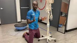 Entorse Persistante de la Cheville - Persistent Ankle Sprain
