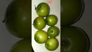 #Elantha palam #fruit cutting #shorts trending #shorts viral #youtube shorts