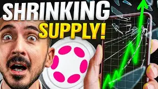 Polkadot's New Bitcoin-Style Scarcity: This Changes Everything!