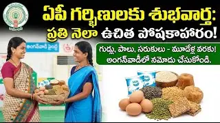 ఏపీలో గర్భిణులకు ఉచిత పోషకాహారం! | AP Anganwadi Free Nutritious Food Scheme Details in Telugu