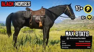 3 BEST BLACK HORSES IN RDR 2