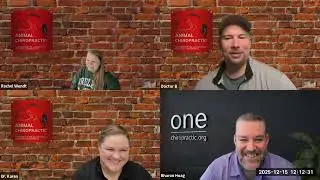 One Chiropractic | E2