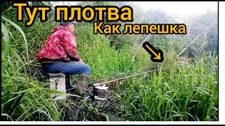 Рыбалка на лесной реке удалась!