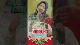 #wibisono