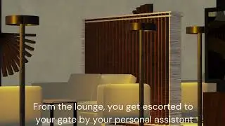AeroBear&rsquo;s newest airline: We offer executive flights for free