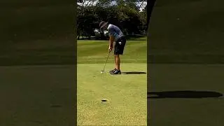 Игрок со средним гандикапом играет в Top Flite #Golf #golfball #shorts