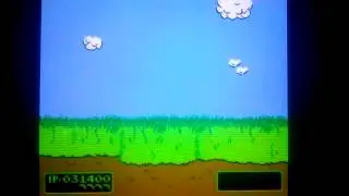 Duck Hunt: Bonus Round