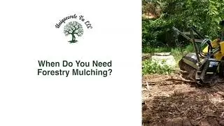 Land Clearing, Underbrush Removal and Forestry Mulching in VA - UniquecreteVA