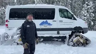 Wildlife Wonders: Yellowstone Winter