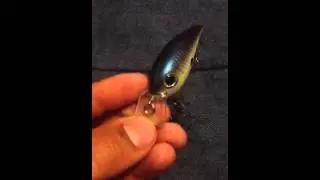 Rapala Crankin Rap