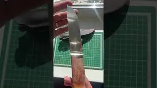 12 июня 2024 г.