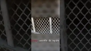 Inside Kal Kothari A Chilling Experience 😨
