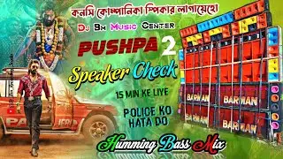 🔥DJ BM REMIX - PUSHPA 2 Speaker Check 2025 | Power Music Viral Speaker check✨Dj Bm Recording Studio