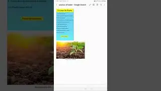 10 Lines on Plants in English | Essay on Plants for Kids | Importance of Plants