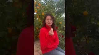 Самые мощные инструменты  Life Design.